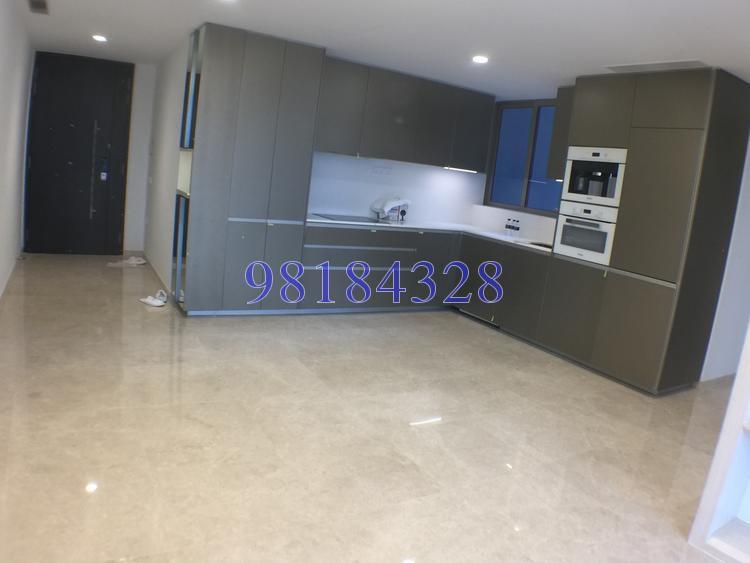Cairnhill Nine (D9), Apartment #137977162